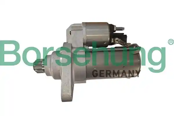 Borsehung B19116