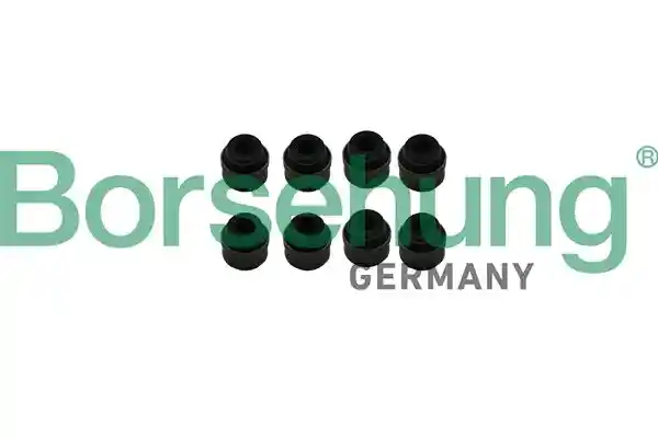 Borsehung B19239