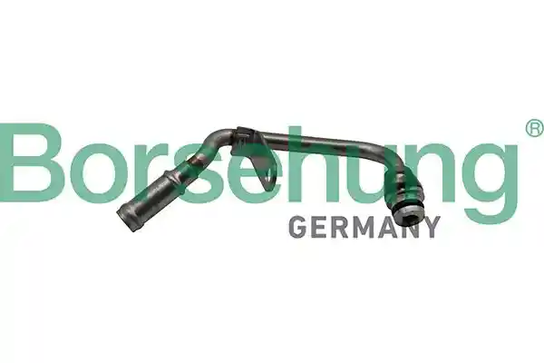 Borsehung B19269