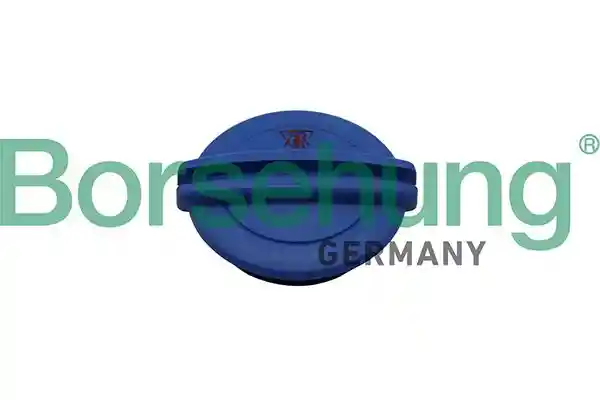 Borsehung B19281