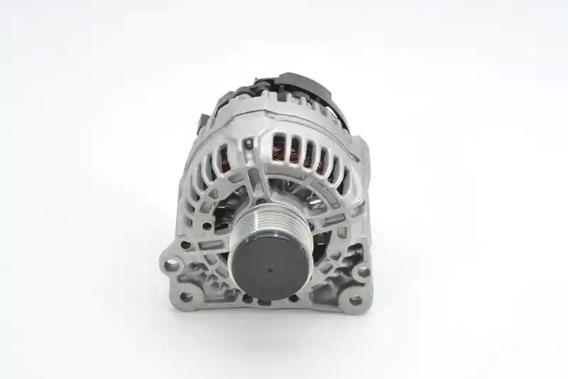 BOSCH 0 124 325 001