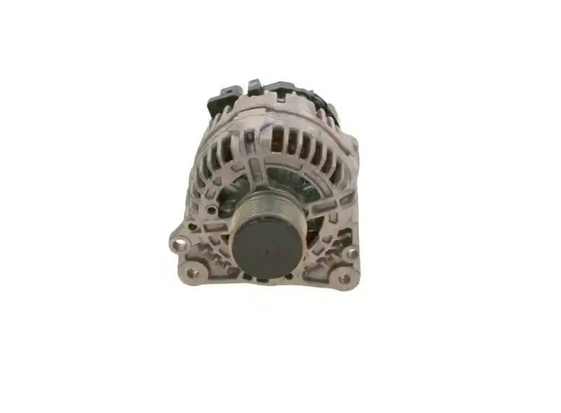 BOSCH 0 124 325 012