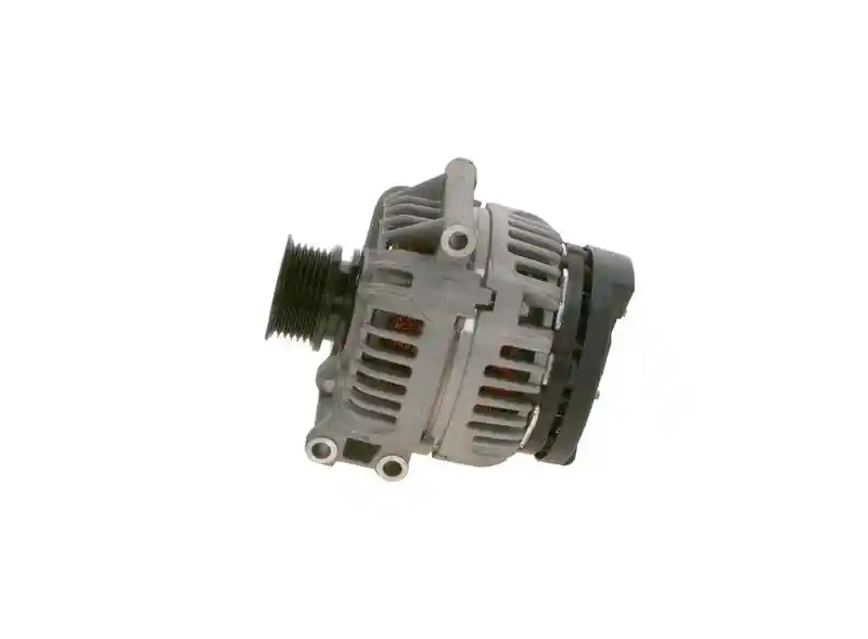 BOSCH 0 124 325 175