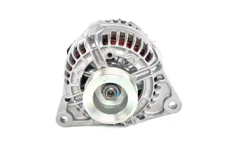 BOSCH 0 124 555 010