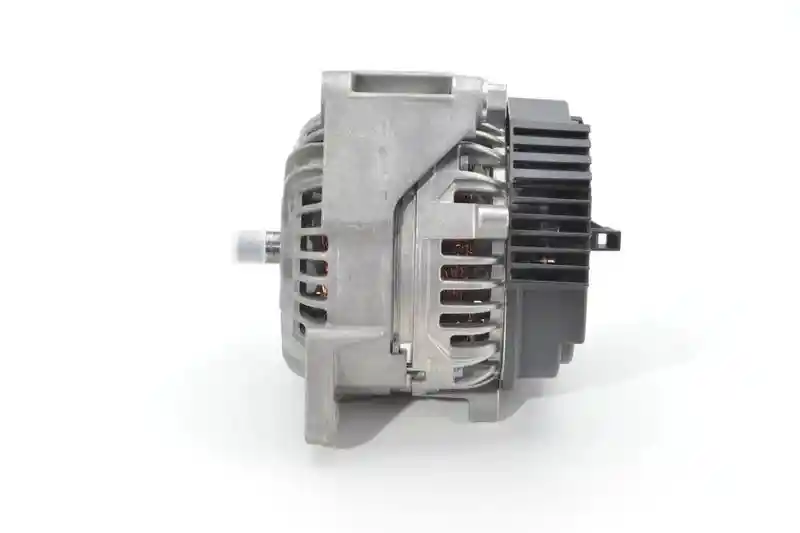 BOSCH 0 124 555 065
