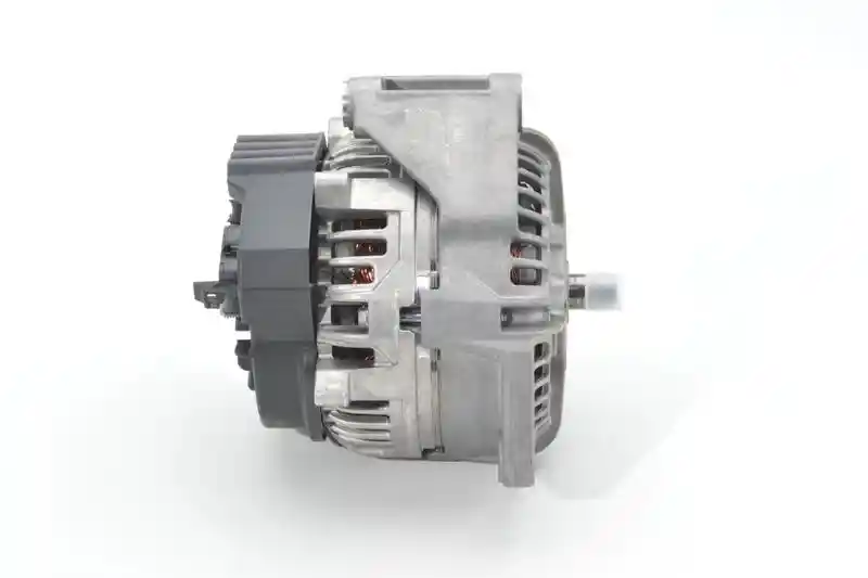 BOSCH 0 124 555 065