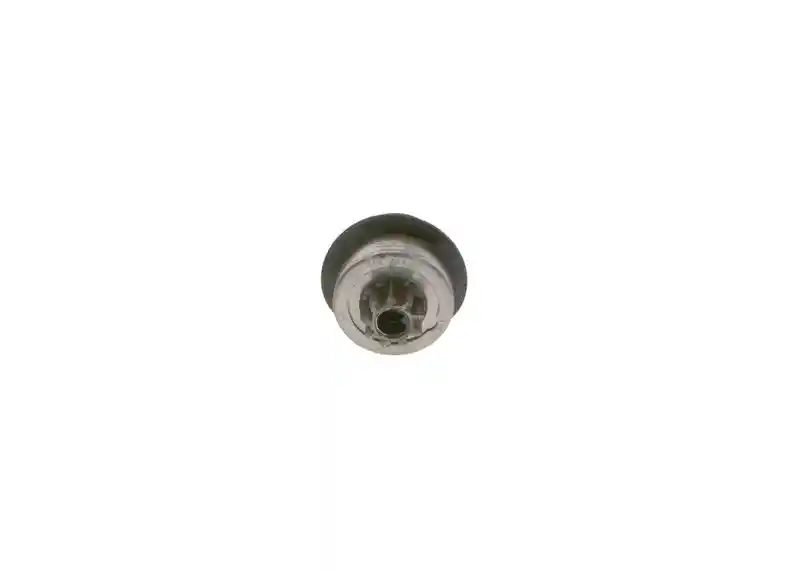 BOSCH 1 006 209 919