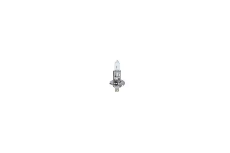 BOSCH 1 987 301 005