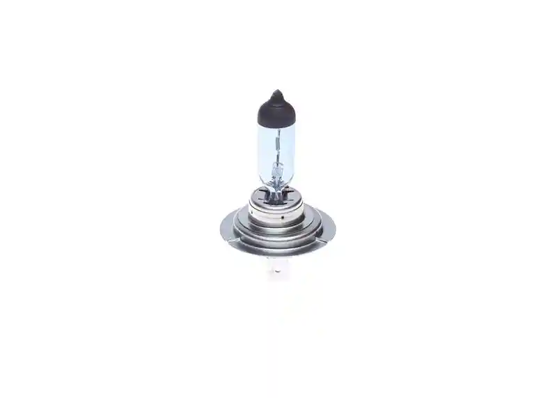 BOSCH 1 987 301 013