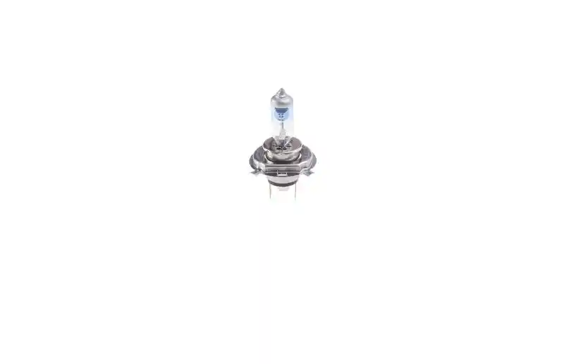 BOSCH 1 987 301 077