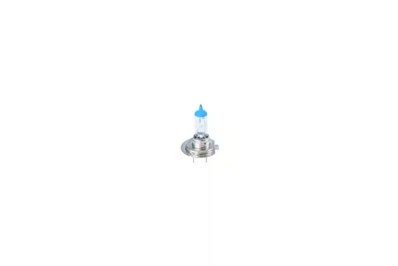BOSCH 1 987 301 441