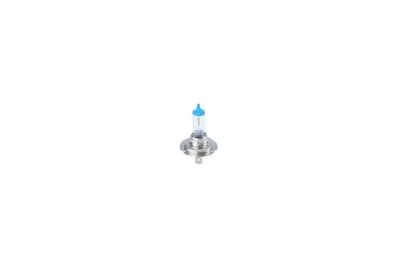 BOSCH 1 987 302 172