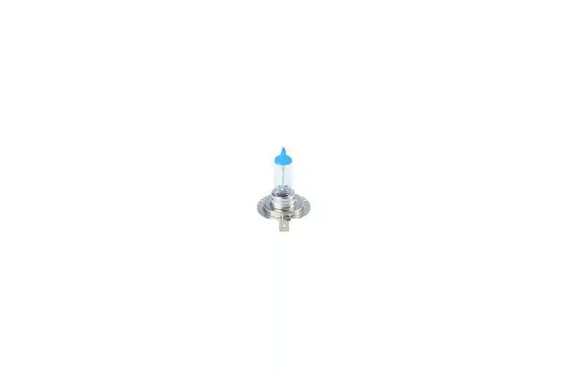 BOSCH 1 987 302 172