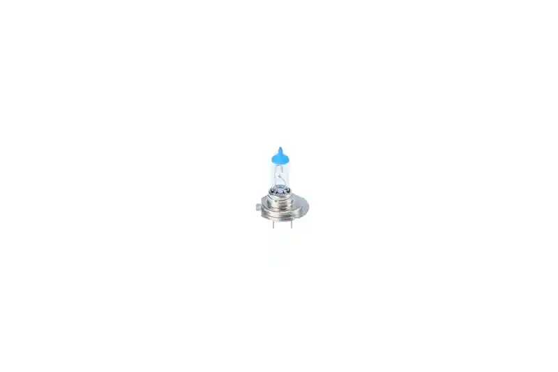 BOSCH 1 987 302 172