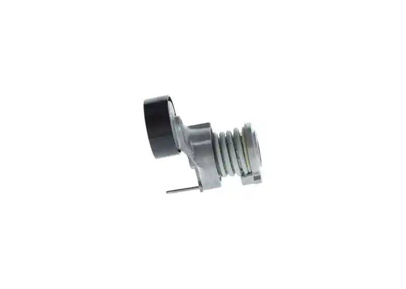 BOSCH 1 987 600 300
