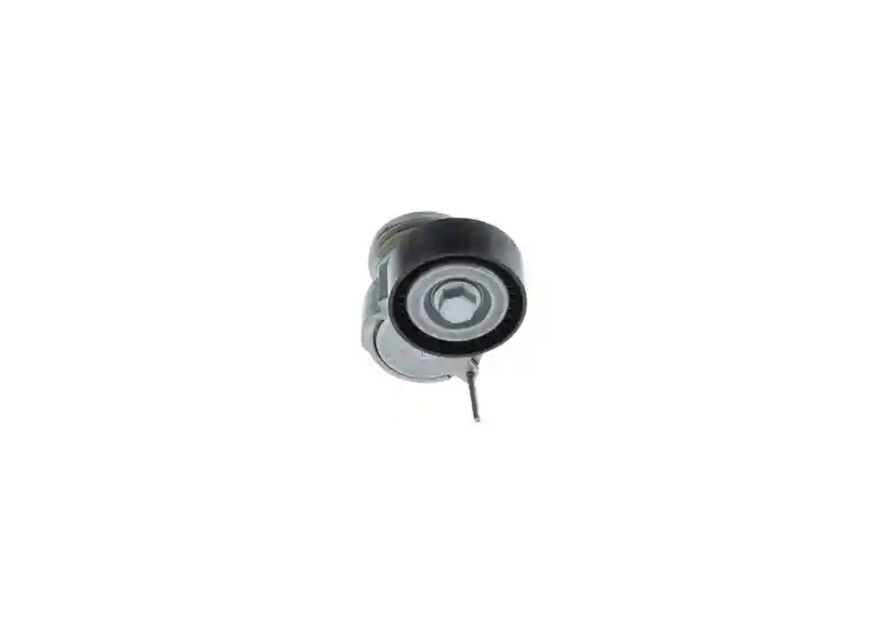 BOSCH 1 987 600 300