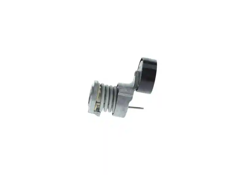 BOSCH 1 987 600 300