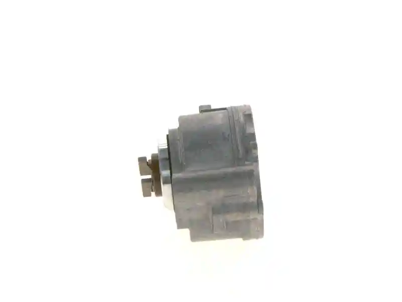 BOSCH F 009 D00 210