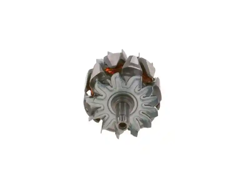 BOSCH F 00M 121 619