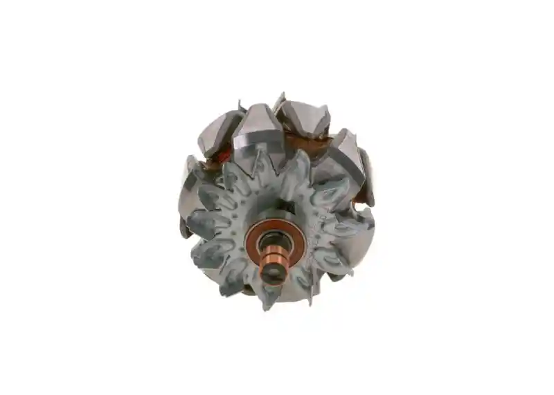 BOSCH F 00M 131 629