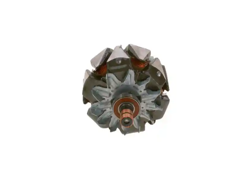 BOSCH F 00M 131 655