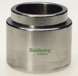 BUDWEG CALIPER 235420