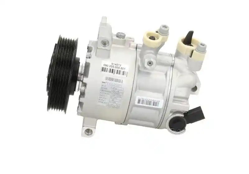 BV PSH 090.205.009.501