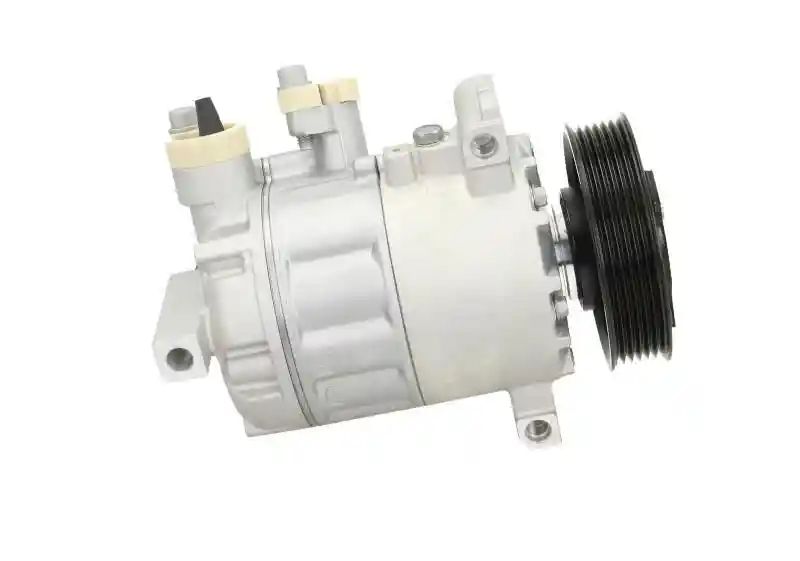 BV PSH 090.205.009.501