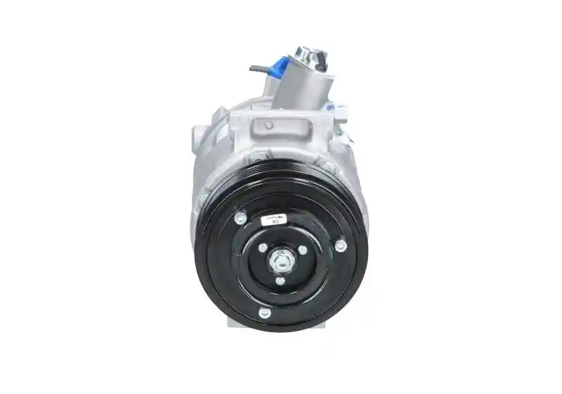 BV PSH 090.205.009.876