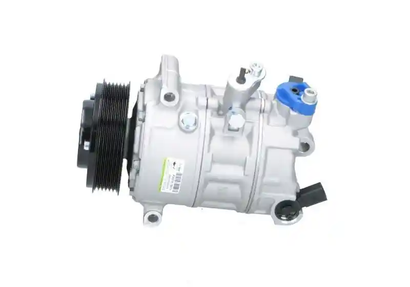 BV PSH 090.205.009.876