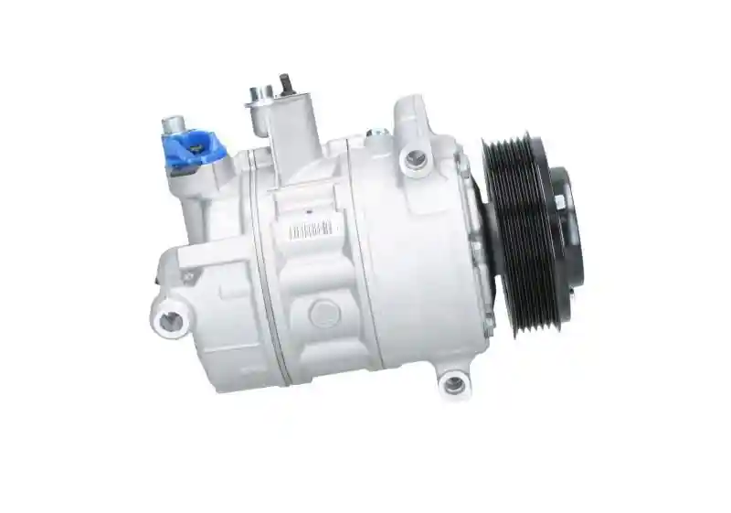 BV PSH 090.205.009.876