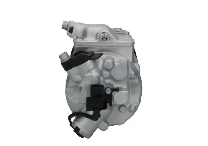 BV PSH 090.205.027.261