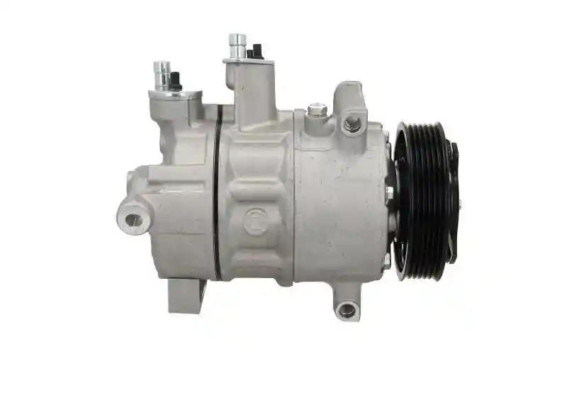BV PSH 090.445.002.050 BV PSH 090.445.002.050
