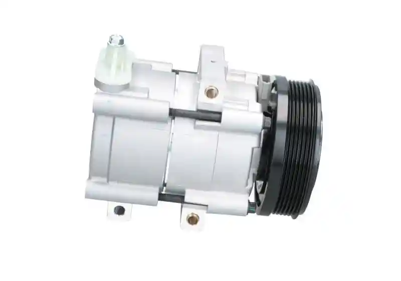 BV PSH 090.595.006.020