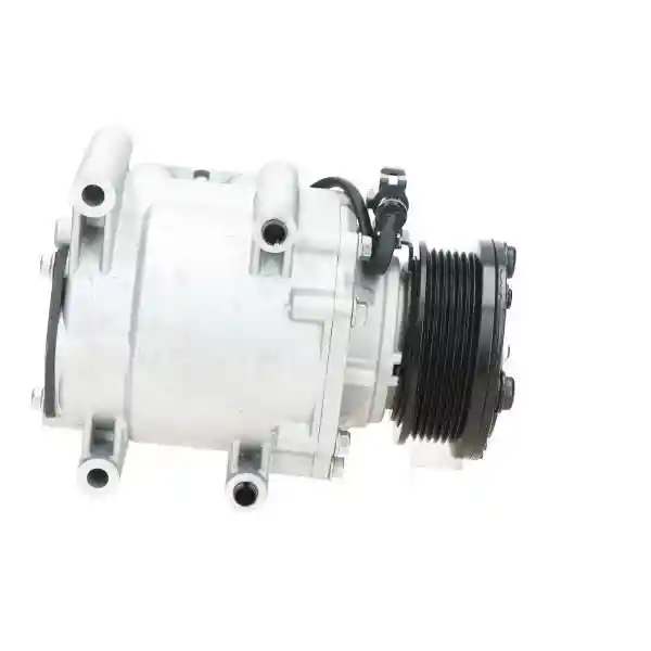 BV PSH 090.595.007.020 BV PSH 090.595.007.020