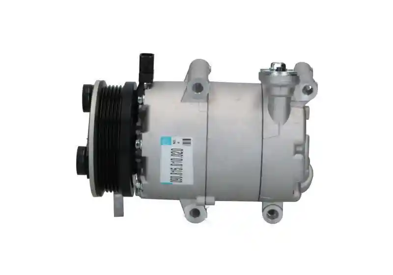 BV PSH 090.815.010.020