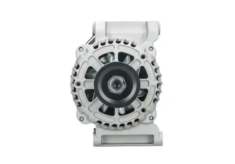 BV PSH 135.598.100.030 BV PSH 135.598.100.030