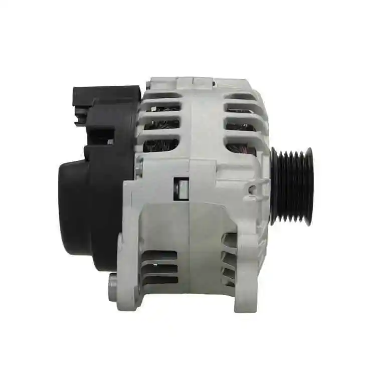 BV PSH 305.560.090.500 BV PSH 305.560.090.500