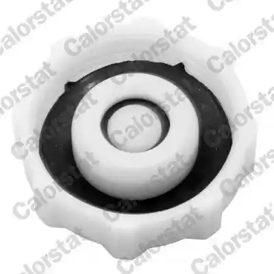 CALORSTAT by Vernet RC0017