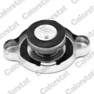CALORSTAT by Vernet RC0027