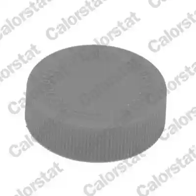 CALORSTAT by Vernet RC0184