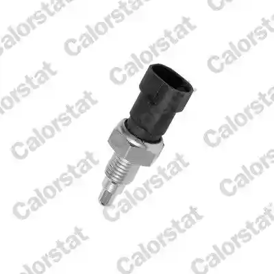 CALORSTAT by Vernet RS5515