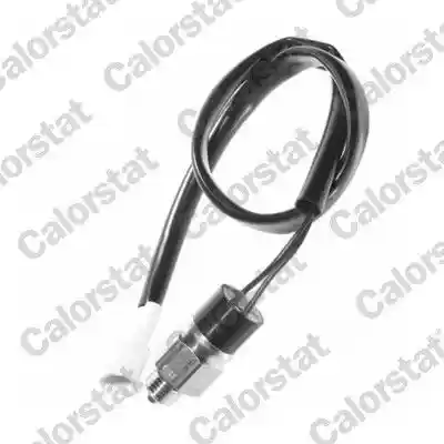 CALORSTAT by Vernet RS5556