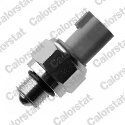 CALORSTAT by Vernet RS5628