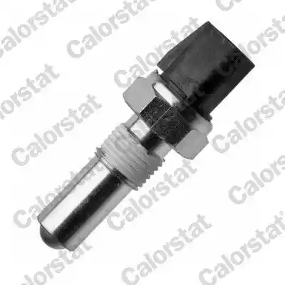 CALORSTAT by Vernet RS5629