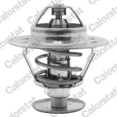CALORSTAT by Vernet TH1538.82J