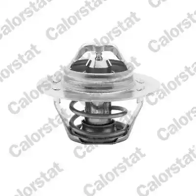 CALORSTAT by Vernet TH5108.83J