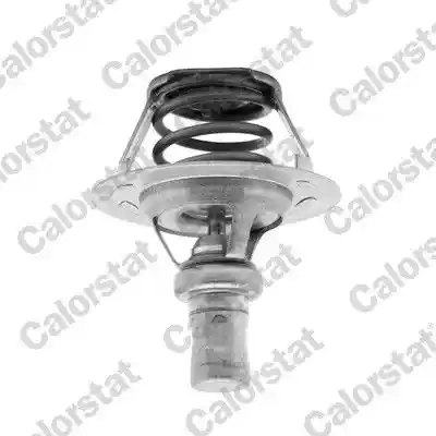 CALORSTAT by Vernet TH5284.86J