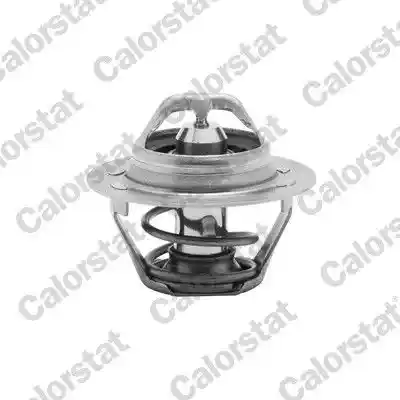 CALORSTAT by Vernet TH6047.89J