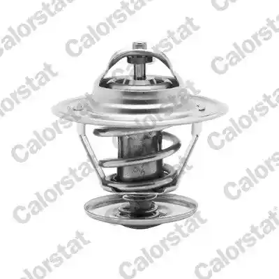 CALORSTAT by Vernet TH6273.87J